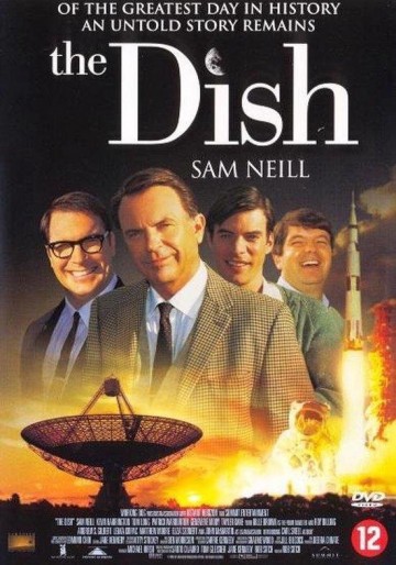 Dish mam