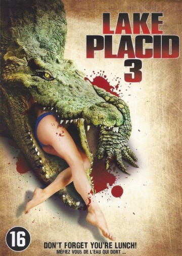 Lakeplacid3
