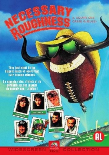 Necessaryroughness mam